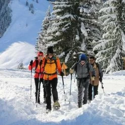 Bâtons De Marche Nordique TSL Tactil C50 Spike -Randonnée en plein air PFBNT5G1 1