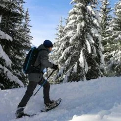 Bâtons De Marche Nordique TSL Tactil C50 Spike -Randonnée en plein air PFBNT5G1 2
